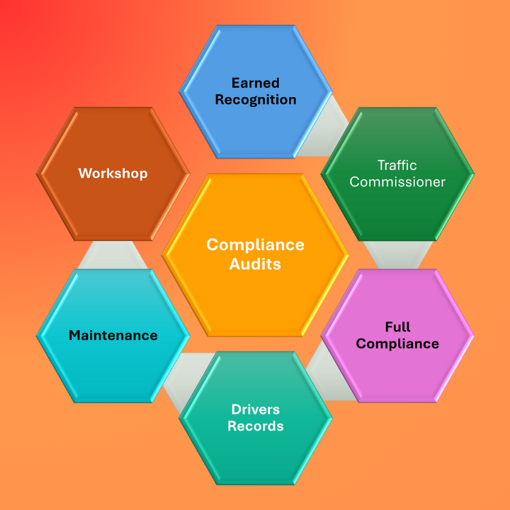 Compliance Audit